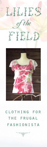 Clothing for the frugal fashionista